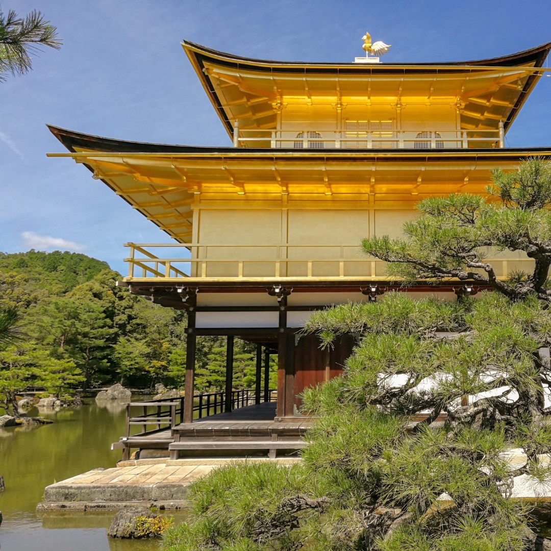 The Golden Pavillion - Kinkaku-ji or according to Wikipedia is officialy Rokuon-ji. .
.
A throwback to my Kyoto visit last year.  The temple is very popular, as are many attractions in Kyoto.  So the midday crowds are plentiful. .
.
But it is easy to take a moment to capture the beauty without the crowds. .
.
The crowds can disappear for as long as you need, leaving just you and the beauty both staring at each other.
.
.
Have an awesome weekend.
.
.
#japan #kyoto #japantravel #kinkakujitemple #goldenpavilion #temple #shrine #summer #visitjapanjp #photooftheday #outdoors #landscape #landscapephotography #travel #instatravel #wanderlust #tourist #instapassport #travelgram #igtravel #instagood #beautiful #happy #throwback #2018 #tbt